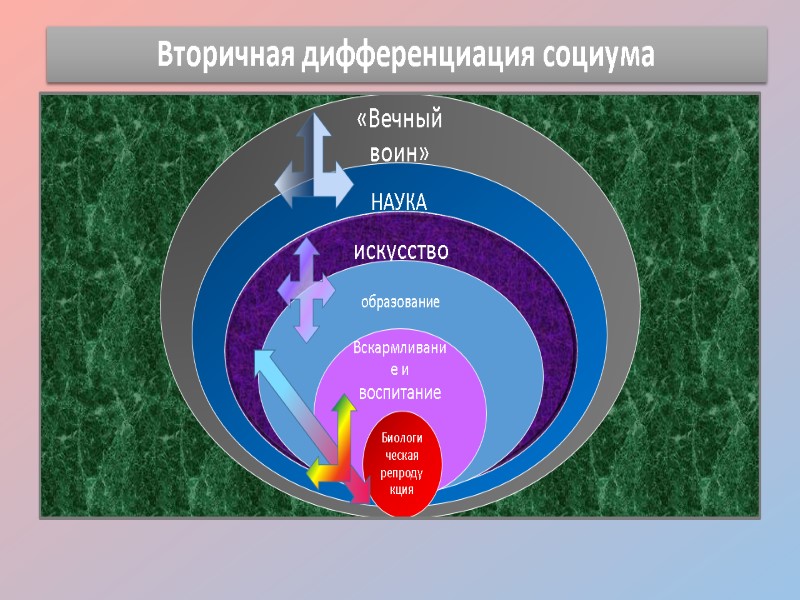 Вторичная дифференциация социума